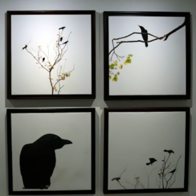 نمایشگاه عکس «پیش درآمد» در گالری همرس